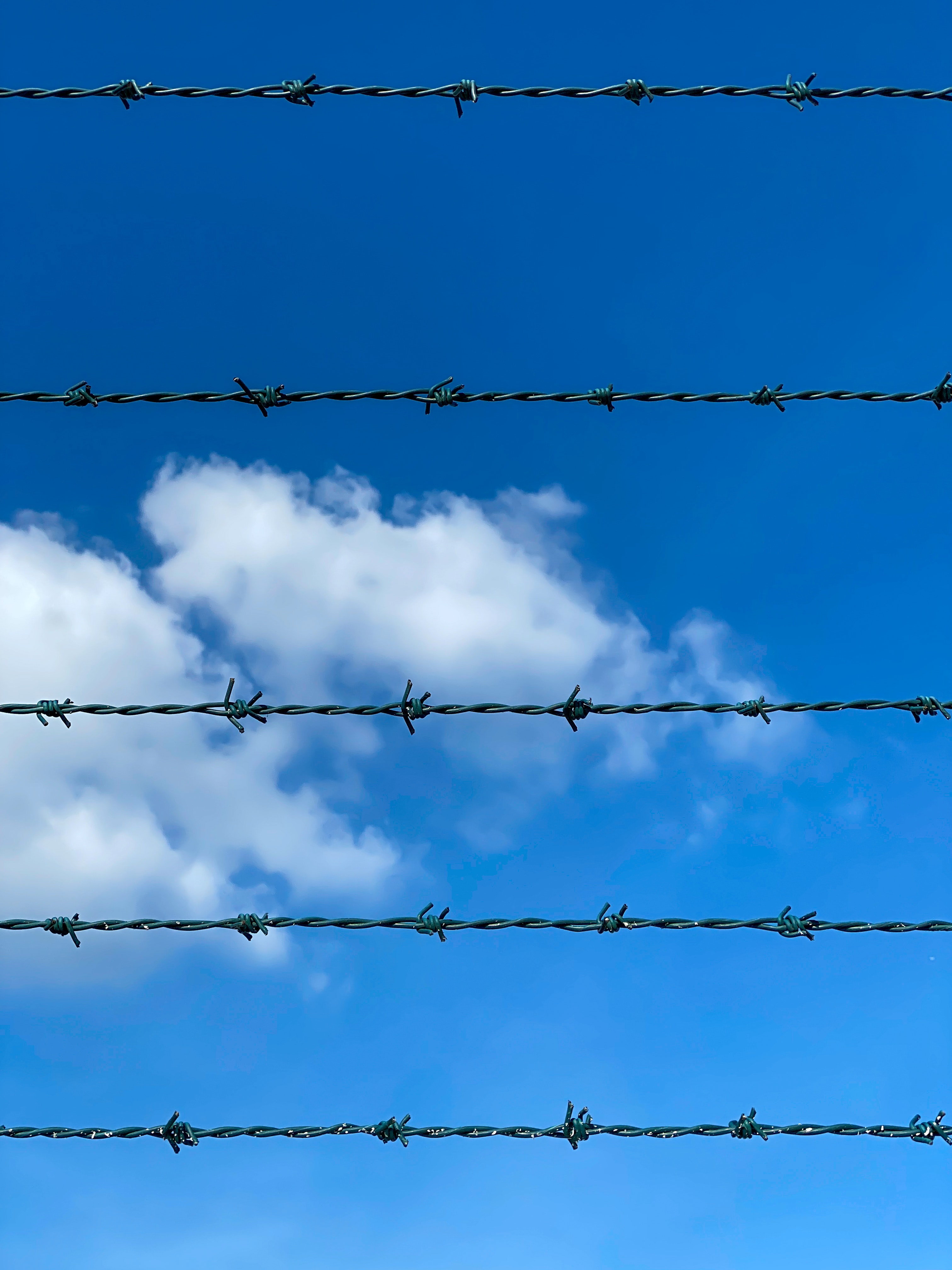 cloud security
